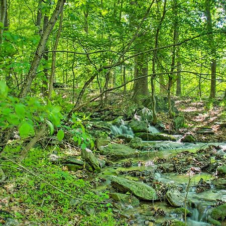Renovated Studio On 5 Acres - Near Vineyards! Crozet Bagian luar foto