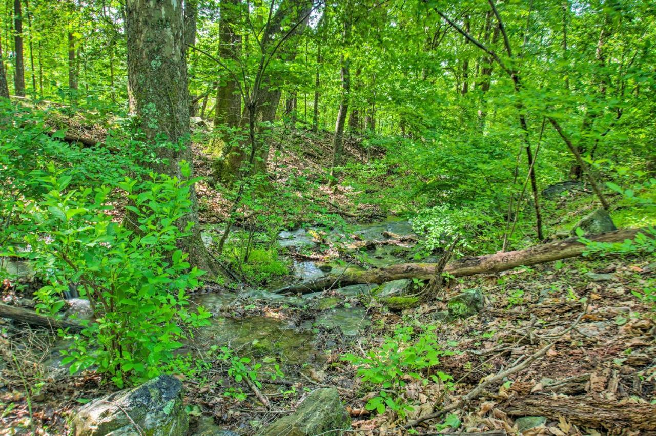 Renovated Studio On 5 Acres - Near Vineyards! Crozet Bagian luar foto
