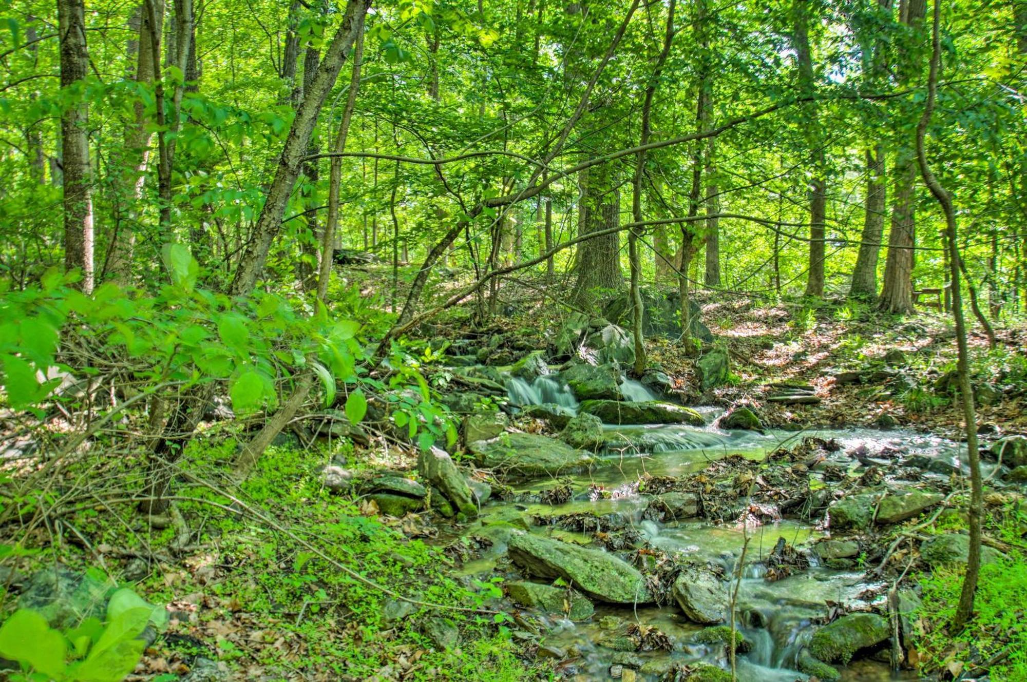 Renovated Studio On 5 Acres - Near Vineyards! Crozet Bagian luar foto