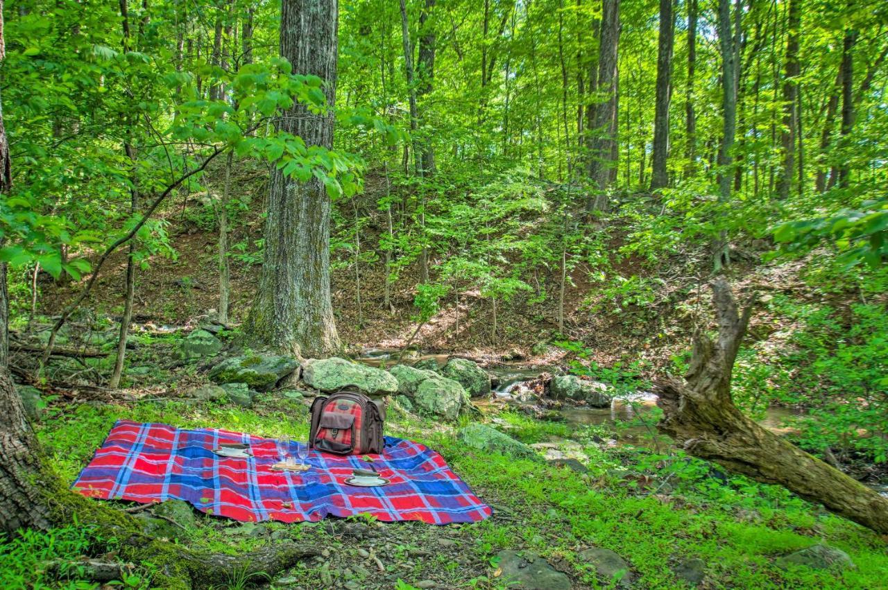 Renovated Studio On 5 Acres - Near Vineyards! Crozet Bagian luar foto